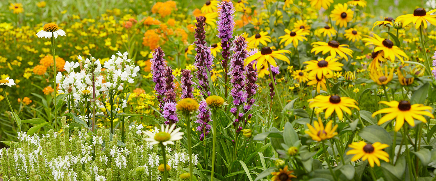 Artificial Plant Store -Artificial Plant Store 3