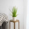 Northlight 24" Artificial Green Onion Grass Plant In Tin Pot -Artificial Plant Store GUEST 013e9dc2 7d50 4b67 b7bc c0eb9c8b6d14