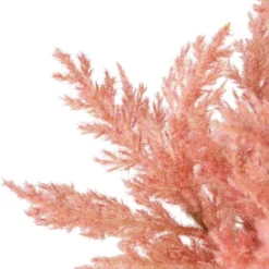Northlight 12" Pink Cypress Artificial Plant In A Ceramic Pot 11 Northlight 12" Pink Cypress Artificial Plant In A Ceramic Pot -Artificial Plant Store GUEST 03a672dc 583b 4dfc ae55 a7dc61a23e18