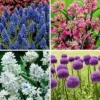 40pk Butterfly Garden Nature Friendly Collection Assorted Bulbs - National Plant Network -Artificial Plant Store GUEST 05468e51 8afb 4c54 976b 987f7d03407c