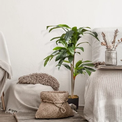 Forever Leaf 48" Artificial Dracaena Plant In Black Pot, Indoor Artificial Plant For Home Decor 6 Forever Leaf 48" Artificial Dracaena Plant In Black Pot, Indoor Artificial Plant For Home Decor - Image 4