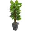 Nearly Natural 5-ft Large Leaf Philodendron Artificial Plant In Slate Planter (Real Touch) -Artificial Plant Store GUEST 08dc2b73 c658 4c2a 9f70 d77570d85513