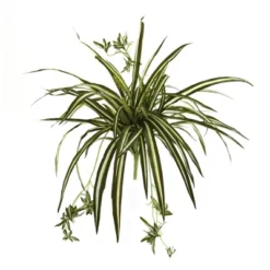 Nearly Natural 23-in Spider Plant Bush (Set Of 4)