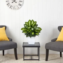 Nearly Natural 2-ft Golden Dieffenbachia Artificial Plant In White Metal Planter 7 Nearly Natural 2-ft Golden Dieffenbachia Artificial Plant In White Metal Planter -Artificial Plant Store GUEST 0c95e155 3af6 489b b054 9141aa44fdb5