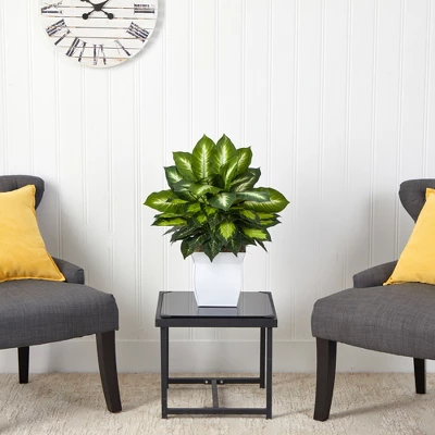 Nearly Natural 2-ft Golden Dieffenbachia Artificial Plant In White Metal Planter 4 Nearly Natural 2-ft Golden Dieffenbachia Artificial Plant In White Metal Planter - Image 2