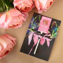 Amborella Organics 6pk Sucker For You Cards With Seed-Bearing Lollipops Flower Seeds -Artificial Plant Store GUEST 0d23fbdc fe4b 40f7 b41f 1254139aa1f1