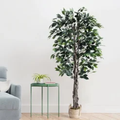 Forever Leaf 72" Artificial Ficus Silk Tree In Wicker Basket, Indoor Artificial Plant For Home Decor 11 Forever Leaf 72" Artificial Ficus Silk Tree In Wicker Basket, Indoor Artificial Plant For Home Decor -Artificial Plant Store GUEST 0dd01afc 4792 4878 878f 911069457cbd