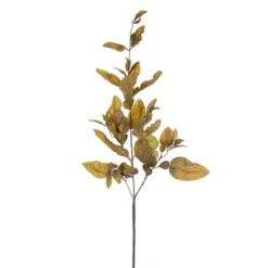 Vickerman 44.5" Dried Pomelo Leaves Spray 7 Vickerman 44.5" Dried Pomelo Leaves Spray -Artificial Plant Store GUEST 0f6e9c82 5543 42e1 a9fb e8196f850fc3