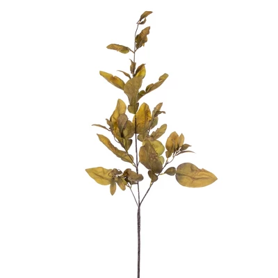 Vickerman 44.5" Dried Pomelo Leaves Spray 4 Vickerman 44.5" Dried Pomelo Leaves Spray - Image 2