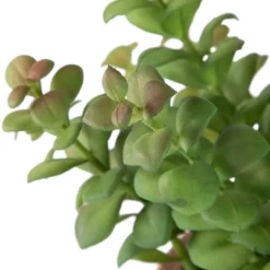 Northlight Real Touch™ Artificial Privet Plant In Vintage Milk Can Style Earthenware Pot - 14" 13 Northlight Real Touch™ Artificial Privet Plant In Vintage Milk Can Style Earthenware Pot - 14" -Artificial Plant Store GUEST 0f8dac75 a606 4758 a838 f7f24347641b