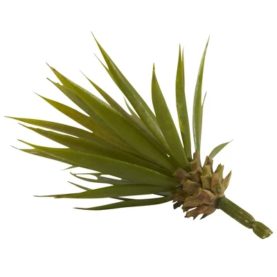 Nearly Natural 6-in Mini Spiky Agave Succulent Plant (Set Of 12) 5 Nearly Natural 6-in Mini Spiky Agave Succulent Plant (Set Of 12) - Image 3
