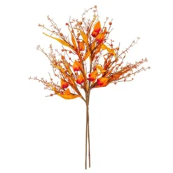 Vickerman Orange Fall Artificial Lantern, Berry, And Husk Spray, 2/bag 8 Vickerman Orange Fall Artificial Lantern, Berry, And Husk Spray, 2/bag -Artificial Plant Store GUEST 130481cf 7342 465a 8c7a fc9cdc26edd4