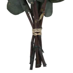 Vickerman Natural Botanicals 18-20" X 9" Eucalyptus Spiral, 100 Grams Per Unit 11 Vickerman Natural Botanicals 18-20" X 9" Eucalyptus Spiral, 100 Grams Per Unit -Artificial Plant Store GUEST 14e48f09 cd64 48d3 97cd 29838824948a