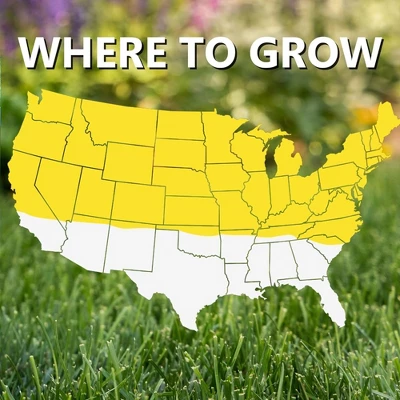 Jonathan Green Wildflower & Meadow Grass Mix – Vibrant Wildflower Seeds, Reseeding Perennials, Low Maintenance, 1 Lb (Covers 1,000 Sq Ft) 3 Jonathan Green Wildflower & Meadow Grass Mix – Vibrant Wildflower Seeds, Reseeding Perennials, Low Maintenance, 1 Lb (Covers 1,000 Sq Ft)