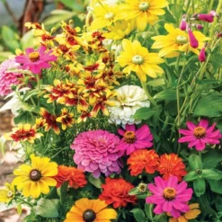 Collections Etc Roll Out Flower Seeded Mats That Attract Butterflies - Set Of 2