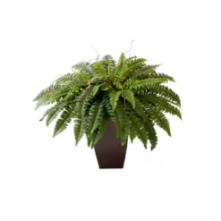 Nearly Natural 23-in Artificial Boston Fern Plant With Tapered Bronze Square Metal Planter DIY KIT 11 Nearly Natural 23-in Artificial Boston Fern Plant With Tapered Bronze Square Metal Planter DIY KIT -Artificial Plant Store GUEST 163bb880 c079 4426 a504 c15599c3604e