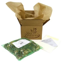 Van Zyverden 10ct Bulbs Hyacinths Jan Bos 11 Van Zyverden 10ct Bulbs Hyacinths Jan Bos -Artificial Plant Store GUEST 173d033c 2a9d 49e2 aac7 fc87c07d5dac 17