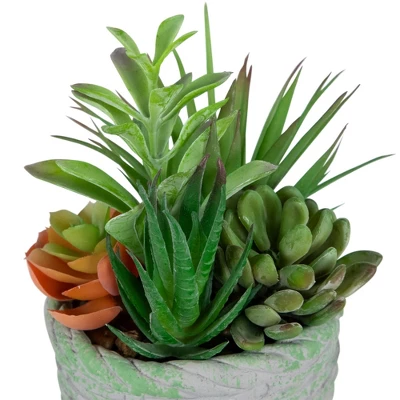 Northlight 8.5" Mixed Succulent Artificial Potted Arrangement - Green/Brown 6 Northlight 8.5" Mixed Succulent Artificial Potted Arrangement - Green/Brown - Image 4