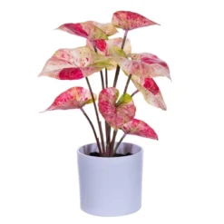 Vickerman 11.5" Artificial Variegated Leaves In Pot, 2 Per Bag -Artificial Plant Store GUEST 1b54e5a1 4bf8 43e7 a8f2 136bb15f0726