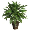 Nearly Natural 31-in Silver King W/Basket Silk Plant 2 Nearly Natural 31-in Silver King W/Basket Silk Plant -Artificial Plant Store GUEST 1b968b7f 3945 4c18 867d 2fcad01f0c0b