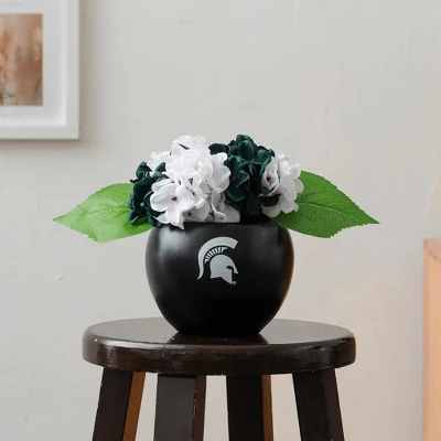 Forever Leaf Michigan State Artificial Snake, Orchid And Hydrangea Plants 3-Pack Bundle, Indoor Artificial Plant For Home Decor 9 Forever Leaf Michigan State Artificial Snake, Orchid And Hydrangea Plants 3-Pack Bundle, Indoor Artificial Plant For Home Decor - Image 7