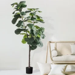 Forever Leaf 72" Artificial Fiddle Tree In Black Pot 2 Stem, Indoor Artificial Plant For Home Decor 15 Forever Leaf 72" Artificial Fiddle Tree In Black Pot 2 Stem, Indoor Artificial Plant For Home Decor -Artificial Plant Store GUEST 1fa43a59 0f2e 4b36 80f1 03e00e3ab9c1