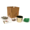 Hyacinth Carnegie Kit White PreChilled Bulb With Iron Brass Fluted Planter - Van Zyverden 2 Hyacinth Carnegie Kit White PreChilled Bulb With Iron Brass Fluted Planter - Van Zyverden -Artificial Plant Store GUEST 205f37db 2cd6 4f52 a99e 715e0cbe297d 3