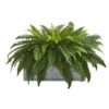 Nearly Natural 30-in Boston Fern Artificial Plant In Stone Planter 2 Nearly Natural 30-in Boston Fern Artificial Plant In Stone Planter -Artificial Plant Store GUEST 2162a25e a23a 4e05 829b 56ad4ba4a1d0