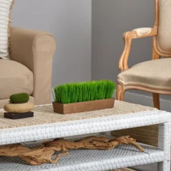 Nearly Natural 12-in Grass Artificial Plant In Decorative Planter 9 Nearly Natural 12-in Grass Artificial Plant In Decorative Planter -Artificial Plant Store GUEST 21bbda96 bfa8 4471 8d9c e40e8f028544