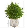 Nearly Natural 18-in Sweet Grass Artificial Plant In Floral Vase (Indoor/Outdoor) 1 Nearly Natural 18-in Sweet Grass Artificial Plant In Floral Vase (Indoor/Outdoor) -Artificial Plant Store GUEST 23f56479 8563 4f2e 9f69 3b3f6559ab61