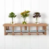 Nearly Natural Succulent Arrangements (Set Of 3) -Artificial Plant Store GUEST 24213b8f 1667 4c78 8cec a9403ee8c986