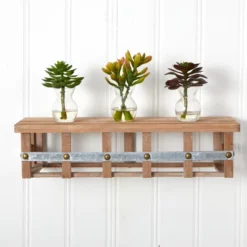 Nearly Natural Succulent Arrangements (Set Of 3)