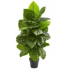 Nearly Natural 4-ft Taro Artificial Plant 1 Nearly Natural 4-ft Taro Artificial Plant -Artificial Plant Store GUEST 25aed56a b221 4df4 a78d 38dd6ccedacf