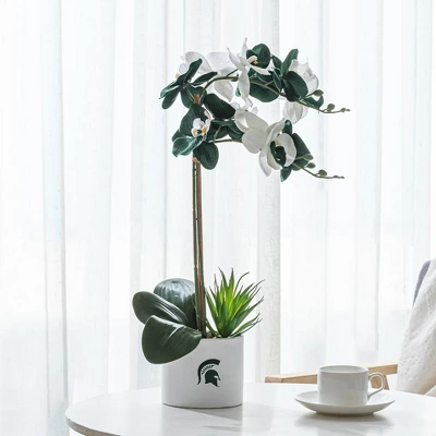 Forever Leaf Michigan State Faux Orchid, Indoor Artificial Plant For Home Decor 8 Forever Leaf Michigan State Faux Orchid, Indoor Artificial Plant For Home Decor - Image 6