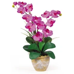 Nearly Natural Double Phalaenopsis Artificial Orchid Flower Arrangement, Cream 18 Nearly Natural Double Phalaenopsis Artificial Orchid Flower Arrangement, Cream -Artificial Plant Store GUEST 2752051f 29d5 48f0 bc04 1715b25f1c5a