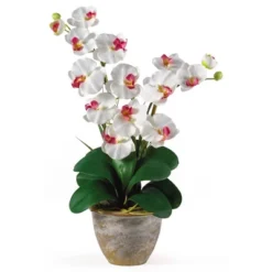 Nearly Natural Double Phalaenopsis Artificial Orchid Flower Arrangement, Cream 17 Nearly Natural Double Phalaenopsis Artificial Orchid Flower Arrangement, Cream -Artificial Plant Store GUEST 29a24fe1 c83d 4e2c a56b 725834272ac1