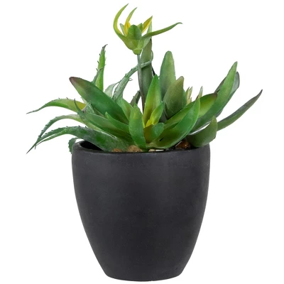 Northlight 11" Mixed Succulent Plant Artificial Potted Arrangement - Green/Black 9 Northlight 11" Mixed Succulent Plant Artificial Potted Arrangement - Green/Black - Image 7