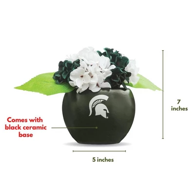 Forever Leaf Michigan State Artificial Snake, Orchid And Hydrangea Plants 3-Pack Bundle, Indoor Artificial Plant For Home Decor 6 Forever Leaf Michigan State Artificial Snake, Orchid And Hydrangea Plants 3-Pack Bundle, Indoor Artificial Plant For Home Decor - Image 4