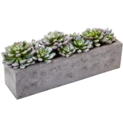 Nearly Natural Succulent Garden With Textured Concrete Planter -Artificial Plant Store GUEST 2bceae40 1781 4809 8a7e 53025bb21e83