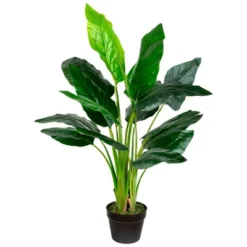 Northlight Potted Artificial Bird Of Paradise Plant - 43" 19 Northlight Potted Artificial Bird Of Paradise Plant - 43" -Artificial Plant Store GUEST 2bf34d06 7b3f 44a8 9585 4dd9142f71f8