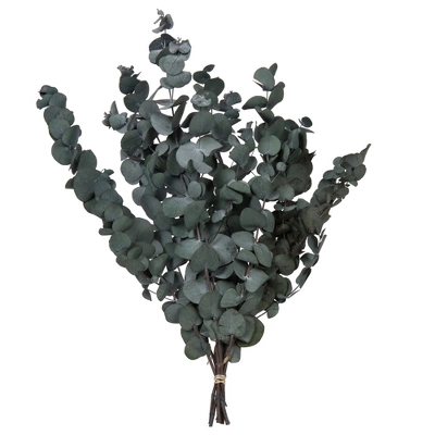 Vickerman Natural Botanicals 18-20" X 9" Eucalyptus Spiral, 100 Grams Per Unit 8 Vickerman Natural Botanicals 18-20" X 9" Eucalyptus Spiral, 100 Grams Per Unit - Image 6