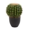 Nearly Natural 14-in Cactus Artificial Plant 2 Nearly Natural 14-in Cactus Artificial Plant -Artificial Plant Store GUEST 2d08d3bd 9ec3 43f9 be5c 7cb4391c1684