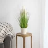 Northlight 27" Artificial Onion And Pampas Grass In Black Pot -Artificial Plant Store GUEST 2d3ac544 4fa1 435d a434 7ced7b2e7658