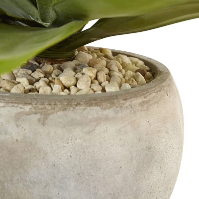 Nearly Natural 24-in Agave Artificial Plant In Sand Colored Bowl 5 Nearly Natural 24-in Agave Artificial Plant In Sand Colored Bowl - Image 3