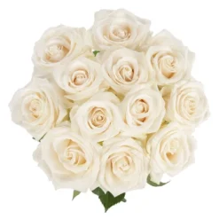 Dozen Fresh Cut White Roses With Vase 9 Dozen Fresh Cut White Roses With Vase -Artificial Plant Store GUEST 2e77c62b 0d61 4541 a62a b919c509cfa7