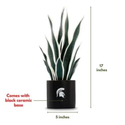 Forever Leaf Michigan State Faux Snake Plant, Indoor Artificial Plant For Home Decor -Artificial Plant Store GUEST 2f6e1460 a233 4e1c 85e8 57f7ee7cdb9f