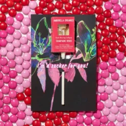 Amborella Organics 6pk Sucker For You Cards With Seed-Bearing Lollipops Flower Seeds -Artificial Plant Store GUEST 31e7d133 b6aa 418c 994e 2e1eae19f7a4