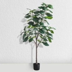 Forever Leaf 72" Artificial Fiddle Tree In Black Pot 3 Stem, Indoor Artificial Plant For Home Decor 9 Forever Leaf 72" Artificial Fiddle Tree In Black Pot 3 Stem, Indoor Artificial Plant For Home Decor -Artificial Plant Store GUEST 320a0cdb bf98 4de3 9dcd ab5f1d63c72e