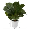 Nearly Natural 11-in Fiddle Leaf Artificial Plant In White Planter (Real Touch) 2 Nearly Natural 11-in Fiddle Leaf Artificial Plant In White Planter (Real Touch) -Artificial Plant Store GUEST 334899df 3f06 40a7 8092 ab95e50411d0