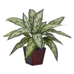 Nearly Natural Silver Queen Artificial Plant (Set Of 2) 6 Nearly Natural Silver Queen Artificial Plant (Set Of 2) -Artificial Plant Store GUEST 342385b6 ae90 4e47 8ef2 d25c9abe20da